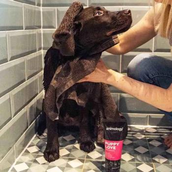 Shampoo 250ml - buy, prices for MasterZoo - photo 6