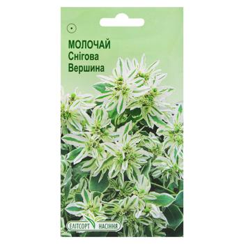 Elitsortnasinnya Snow Peak Euphorbia Flowers Seeds 10pcs