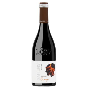 Вино Purcari Sapiens Rkatsiteli Orange біле сухе 13% 0,75л - купити, ціни на NOVUS - фото 1