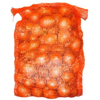 Yellow Onions Import 5kg - buy, prices for METRO - photo 1