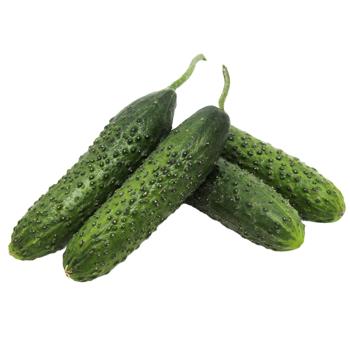 Cucumber Turkey - buy, prices for NOVUS - photo 1