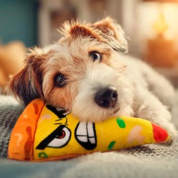 Toy Waudog - buy, prices for MasterZoo - photo 2