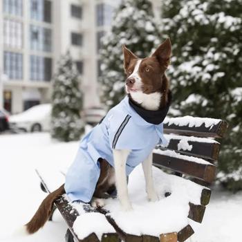 Raincoat Noble pet 3xl Ukraine - buy, prices for MasterZoo - photo 7