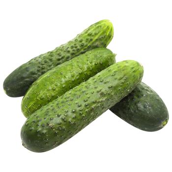 Prickly Cucumber Ukraine - buy, prices for - photo 6