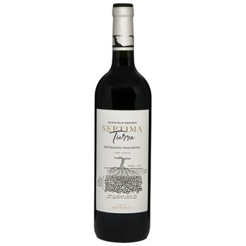 Вино Septima Tierra Chacayes 0,75л черв. сухе 15%(Іспанія) - купить, цены на КОСМОС - фото 1