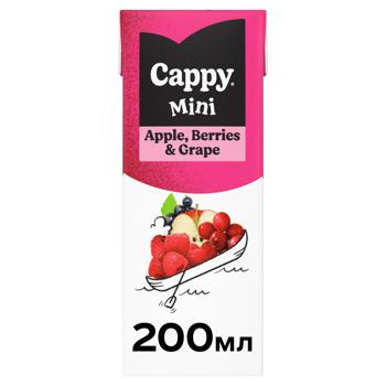 Cappy Mini Berries-Grapes-Apple Nectar 200ml - buy, prices for Ideal - photo 1