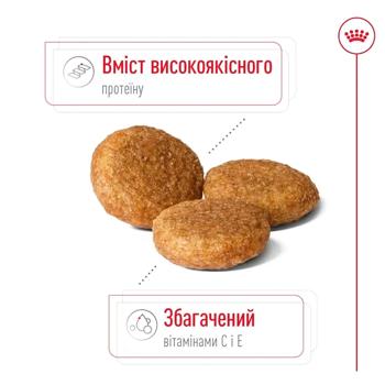 Корм сухой Royal Canin Adult для собак средних пород 3,2+800г - купить, цены на MasterZoo - фото 4