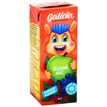 Galicia Berry with Pulp Juice 200ml