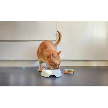 Корм вологий Comfy Appetit Premium з індичкою для котів 85г - купити, ціни на MasterZoo - фото 4