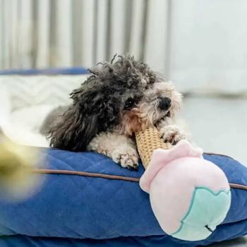 Pet Fun Ice Cream Plush Dog Toy 24cm - buy, prices for MasterZoo - photo 5