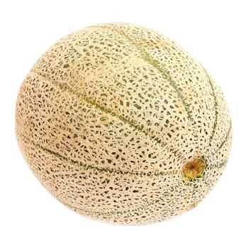 Cantaloupe organic melon