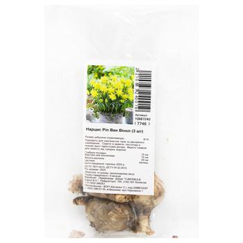 Rip Van Winkle Daffodil Bulb 3pcs - buy, prices for Za Raz - photo 1