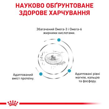 Royal Canin Skin & Coat Dry Food for Maintaining Healthy Skin in Cats 1.5kg - buy, prices for MasterZoo - photo 3
