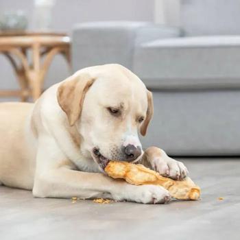 Ласощі для собак Trixie Chewing Паличка M 13,5 см / 75 г - сир - купити, ціни на MasterZoo - фото 6