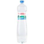 Truskavetska Natural Highly Carbonated Mineral Water 1.5l