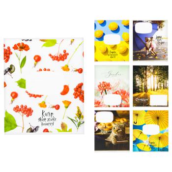 Shkolyaryk Lined Notebook 24 sheets - buy, prices for Auchan - photo 1