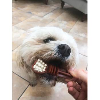 Knash Tooth Brush Oral Care Snack with Peanuts, Mint and Cranberries for Small Breed Dogs 150g - buy, prices for MasterZoo - photo 6
