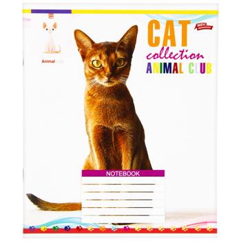 Mriyi Zbuvayutsya Checkered Notebook 24 Sheets in assortment - buy, prices for Chudo Market - photo 3