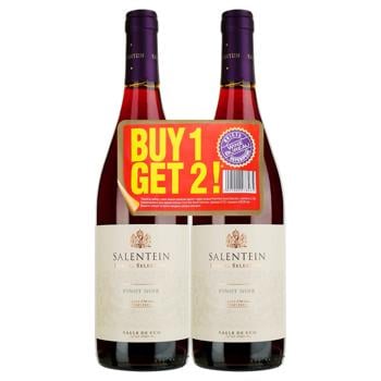 Salentein Pinot Noir Barrel Dry Red Wine Set 13% 0.75l 2pcs - buy, prices for MegaMarket - photo 1