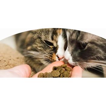 ProDen PlaqueOff Dental Bites Oral Care Snack with Vegetables for Cats 60g - buy, prices for MasterZoo - photo 4
