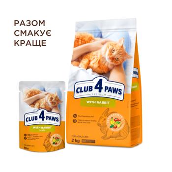 Корм вологий Club 4 Paws Premium з кроликом для котів 85г - купити, ціни на - фото 6