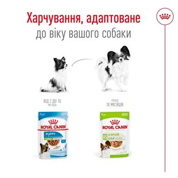 Вологий корм для собак Royal Canin X-Small Adult pouch 85 г - купить, цены на MasterZoo - фото 4