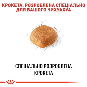 Royal Canin Adult for Dogs of Chihuahua Breed Dry 1.5kg + Wet 4pcs x 85g - buy, prices for MasterZoo - photo 5