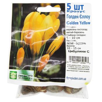 Цибулина C - купити, ціни на КОСМОС - фото 2