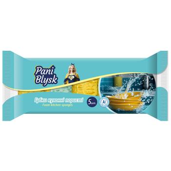 Pani Blysk Porous kitchen sponges 5pcs