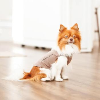 Pet Fashion Kale борцівка для собак XS - купить, цены на MasterZoo - фото 4