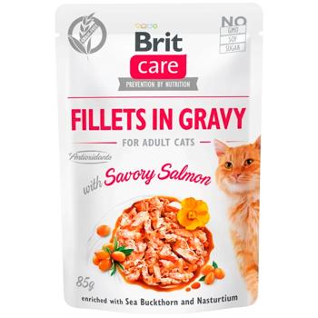 Brit Care Wet Food with Salmon for Adult Cats 85g - buy, prices for MasterZoo - photo 1