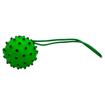 Spiked Ball with Rope Toy for Dogs 36cm - buy, prices for Tavria V - photo 2
