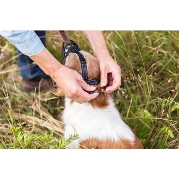 Trixie Muzzle Flex Silicone Muzzle L 27cm Black - buy, prices for MasterZoo - photo 5