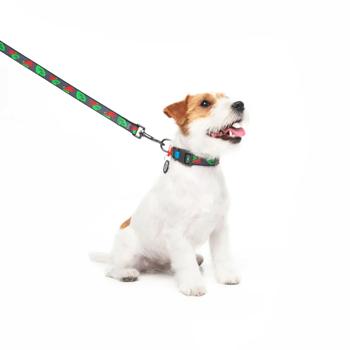 Waudog Nylon Leash 122cm/15mm with Guelder Rose Design - buy, prices for - photo 4