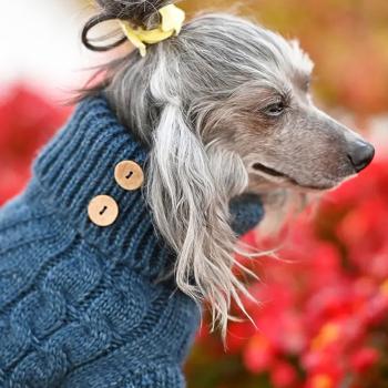 Noble Pet Antony светр для собак XS - купить, цены на MasterZoo - фото 7