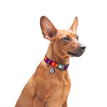 Waudog Nylon Dog Collar with QR Passport 23-35cm/15mm with 3D Cube Design - buy, prices for MasterZoo - photo 4