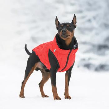 AiryVest Uni Double Sided Dog Jacket s.XS28 Red-Black - buy, prices for - photo 2