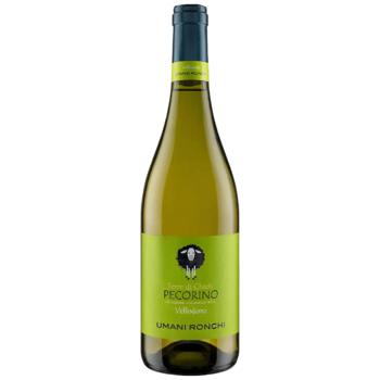 Wine 11-14% glass bottle - buy, prices for Epicentr FOOD - photo 1