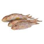 Frozen Red Mullet