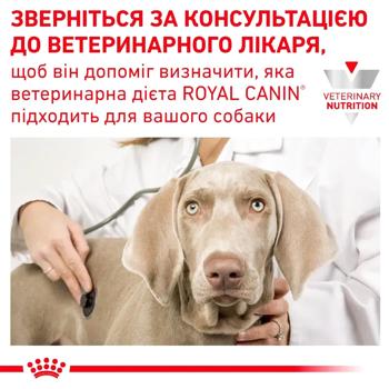 Корм сухий Royal Canin Skin Care для здоров'я шкіри та шерсті собак 2кг - купити, ціни на MasterZoo - фото 6