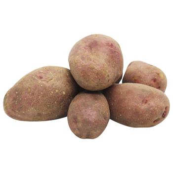 Young Red Potatoes Ukraine - buy, prices for COSMOS - photo 1