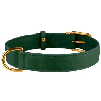 Barksi BronzeDog Crazy шкіряний нашийник для собак XXS - зелений - купити, ціни на MasterZoo - фото 2