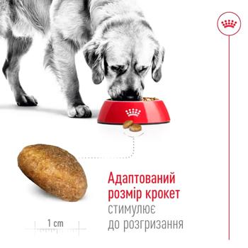Royal Canin Maxi Adult Dry Food with Poultry for Dogs of Large Breeds 3kg - buy, prices for MasterZoo - photo 5
