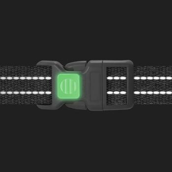 Leash Collar Ukraine - buy, prices for MasterZoo - photo 2