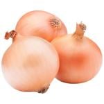 Onion