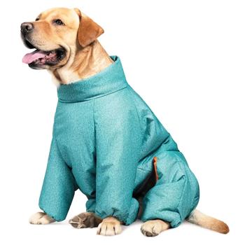 Pet Fashion Cold Raincoat for Dogs s.S Turquoise - buy, prices for - photo 3