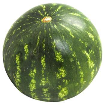 Кавун - купити, ціни на METRO - фото 1