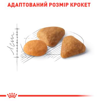 Корм сухой Royal Canin Savour Exigent с домашней птицей для прихотливых кошек 8+2кг - купить, цены на MasterZoo - фото 4