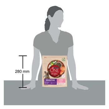 Purina One Sensitive Dry Food with Salmon and Rice for Small Breed Dogs with Sensitive Digestion 800g - buy, prices for Auchan - photo 2
