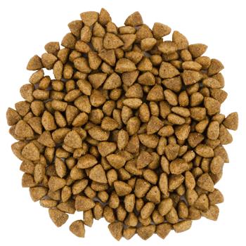 Savory Dry Food with Lamb and Turkey for Adult Cats with Sensitive Digestion 8kg - buy, prices for - photo 3